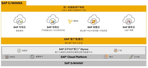 SAP商務云產品自學指南 電商云、銷售云與營銷云業務知識入門