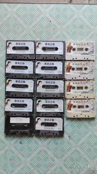 聲音的軌跡 從音頻唱機(jī)到音像制品收藏的文化回響